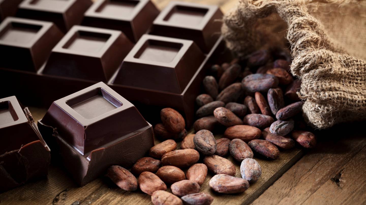 10 Health Benefits of Dark Chocolate: A Treat Your Gut Will Love