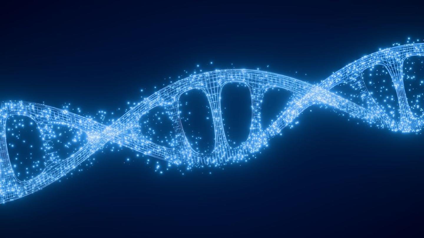 Could Humans Tap Into Hidden Hibernation Genes for Medical Benefits?
