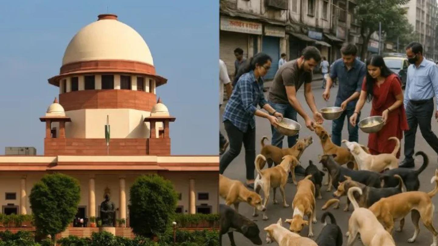 Madras High Court May Apply Supreme Court’s Stray Dog Order in Tamil Nadu
