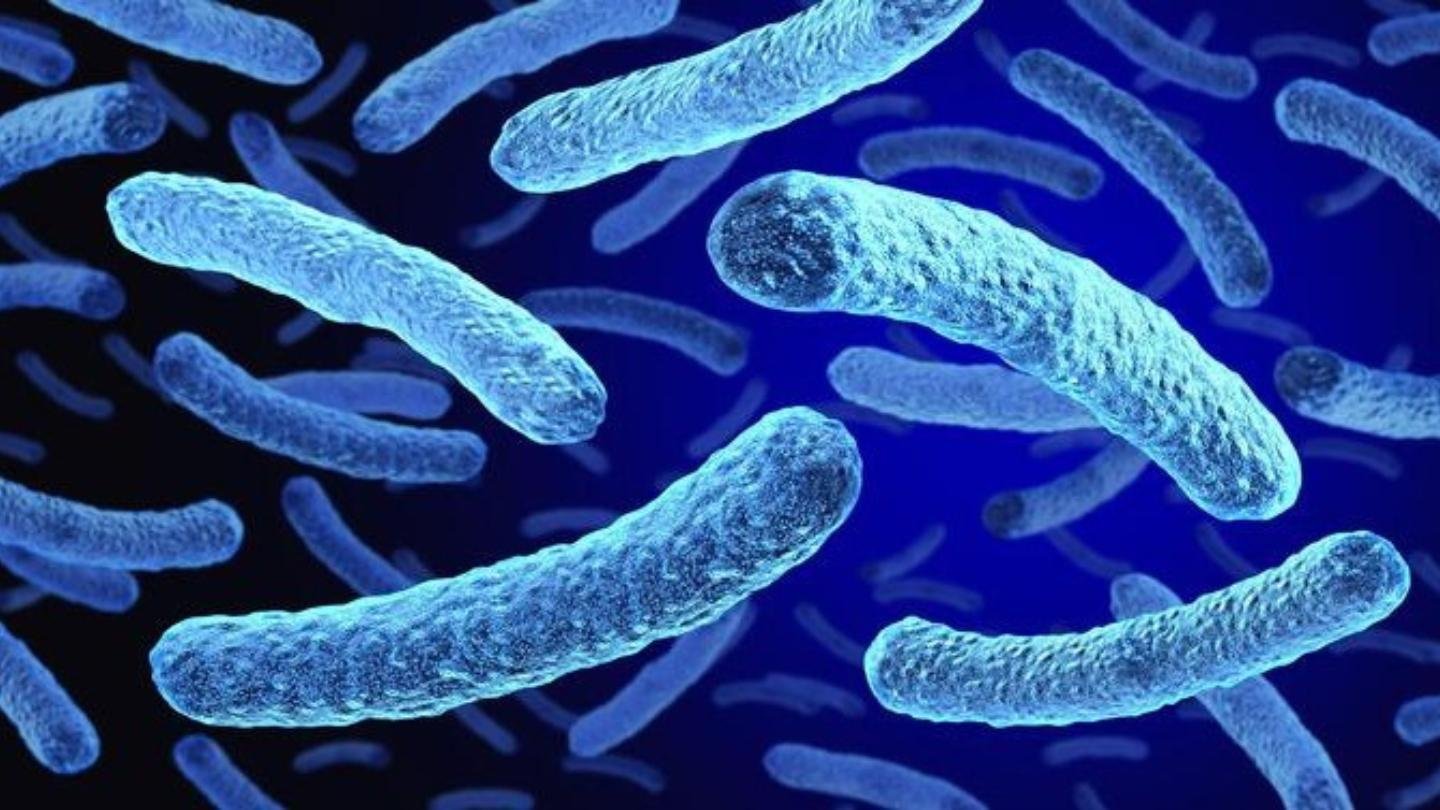 Legionnaires’ Disease Outbreak in New York: 2 Dead, 58 Infected – What You Need to Know