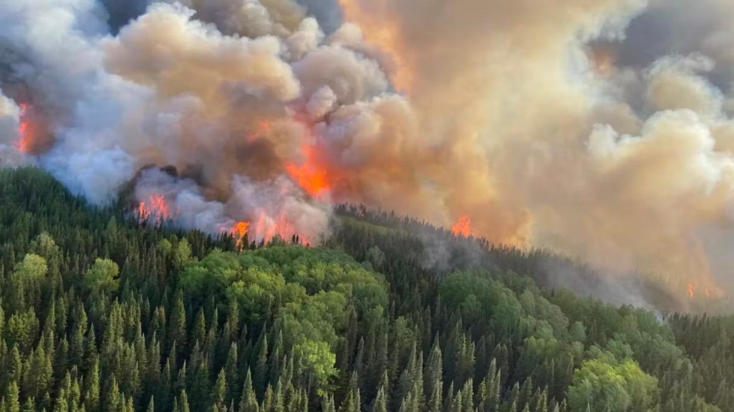 Canada’s Response to the Wildfires: Is It Adequate?
