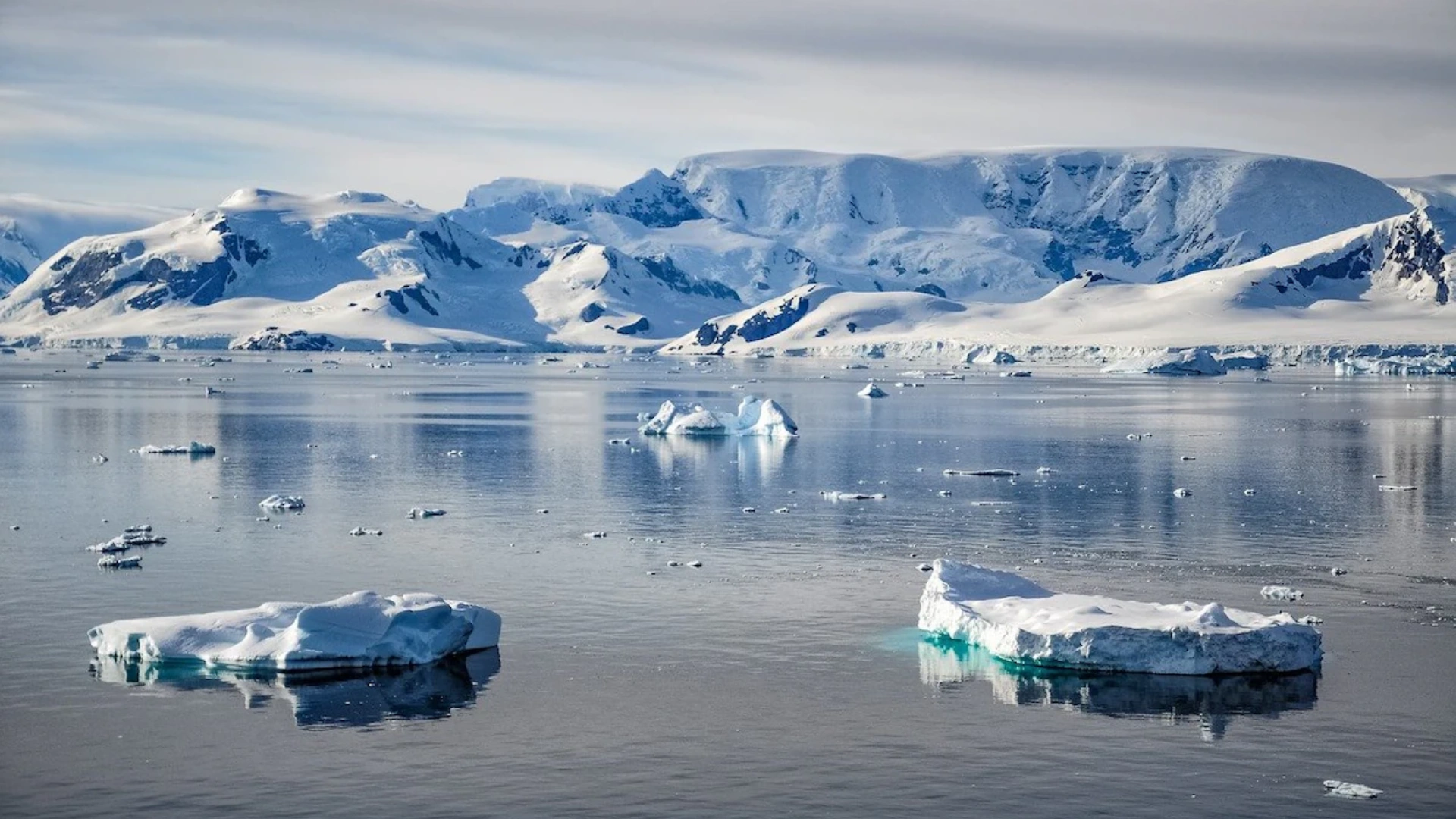 Sea Ice to Ocean Currents: Antarctica is Experiencing Abrupt Changes