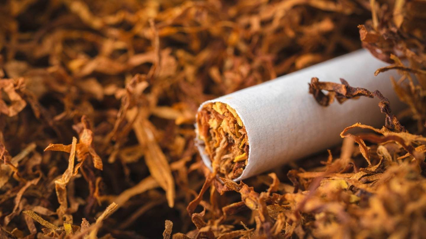 Govt Plans Higher GST on Tobacco, New Bill Likely in Winter Session