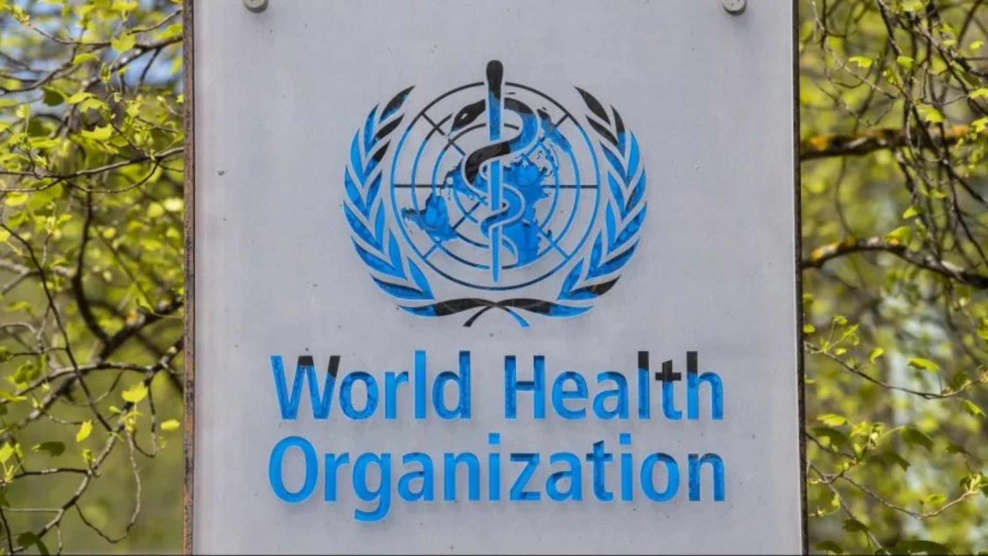 WHO Adds Key Diabetes and Obesity Drugs to Essential Medicines List