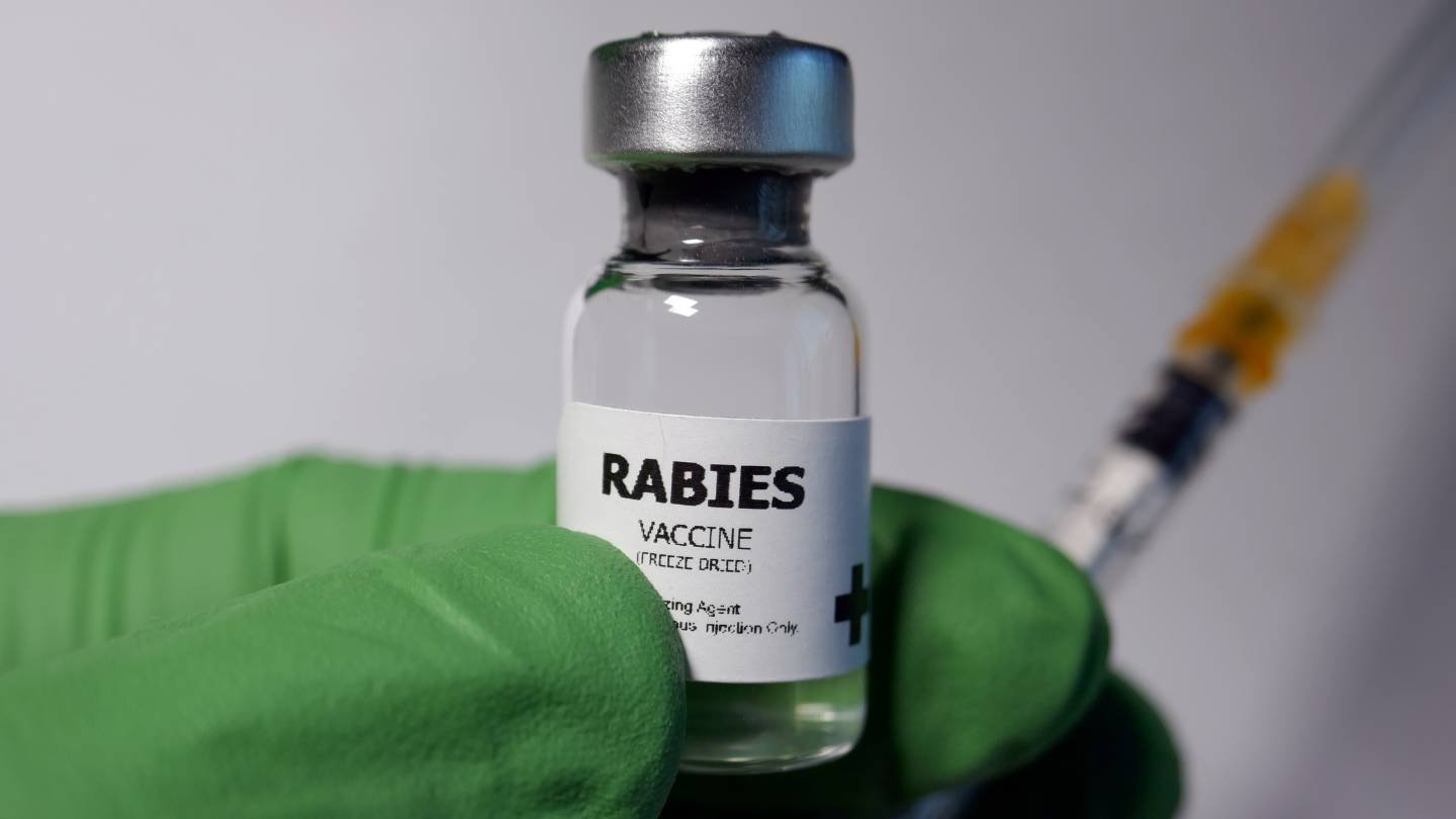 Rabies Outbreaks Rising Across U.S., CDC Warns