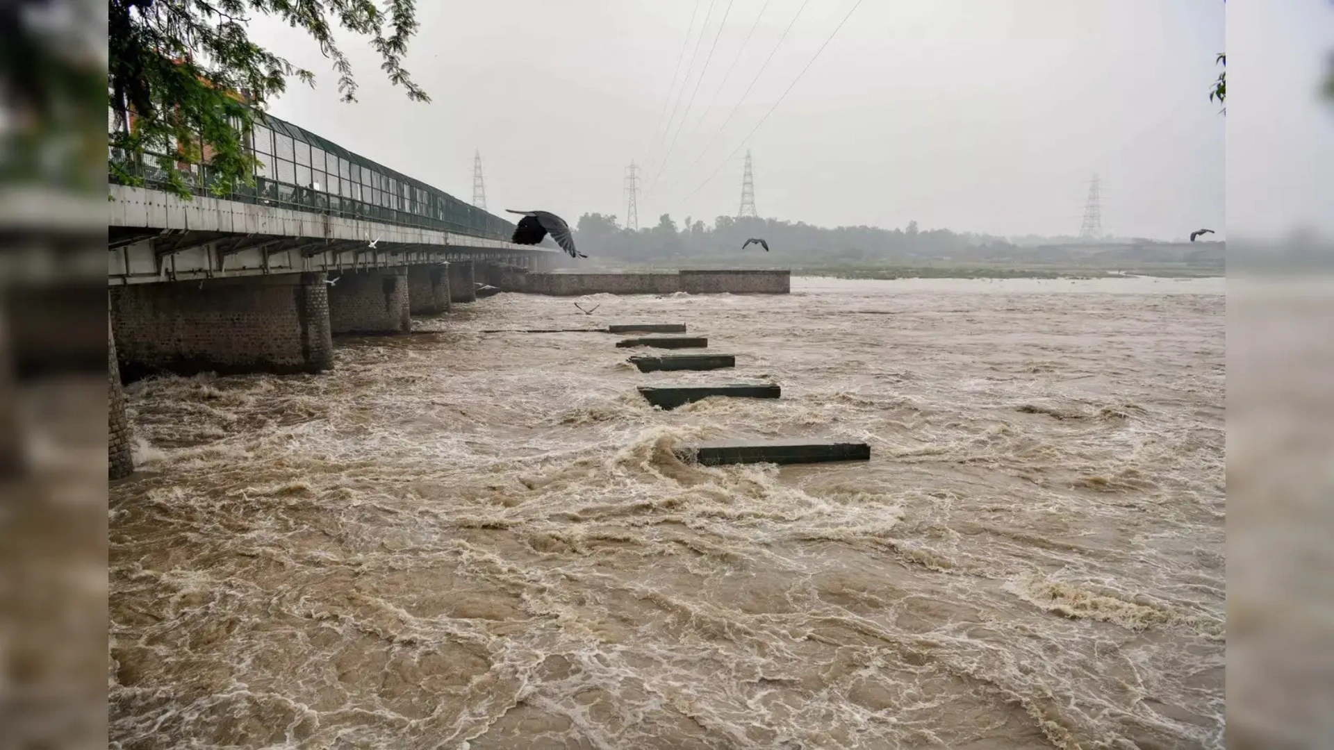 Yamuna River Crosses Danger Mark, Thousands Displaced in Noida, Ghaziabad and Delhi