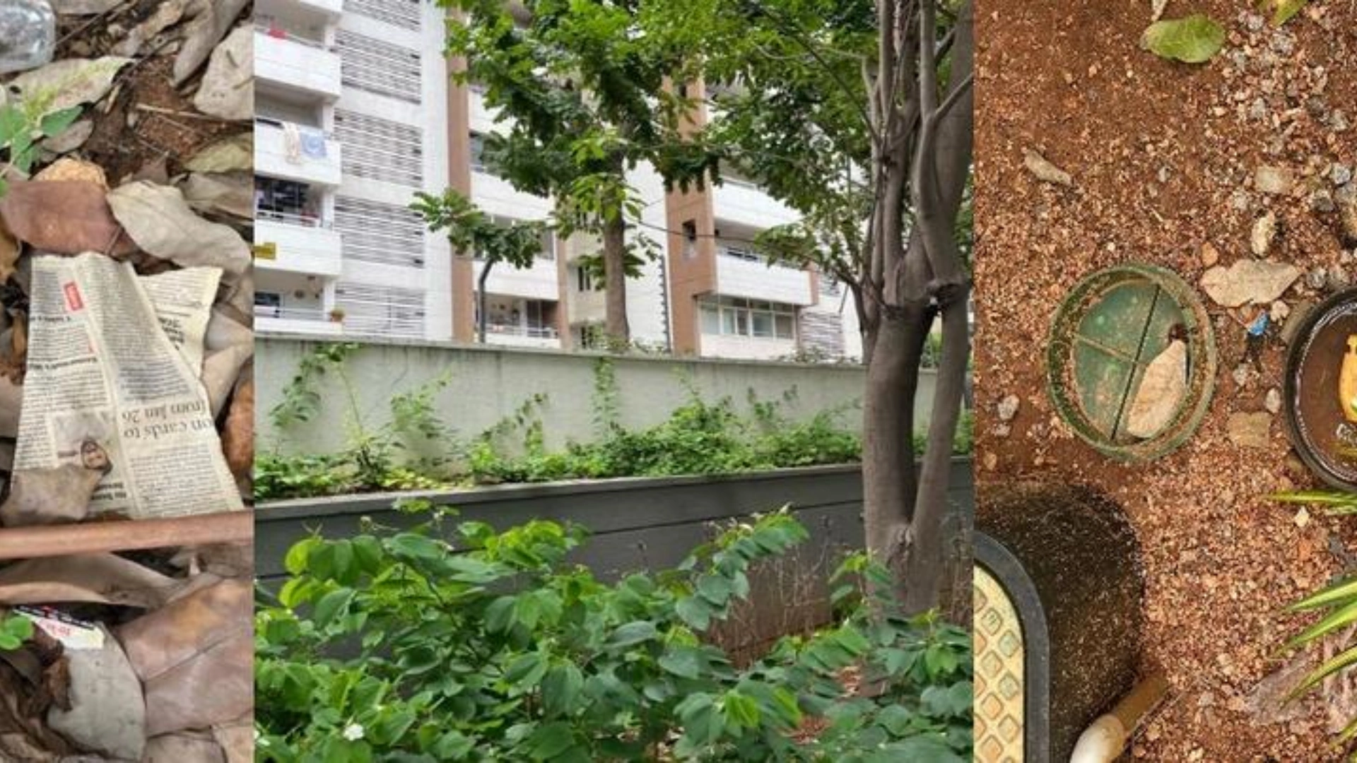 Revised strategies urgently needed against Aedes mosquitoes, says The Hindu