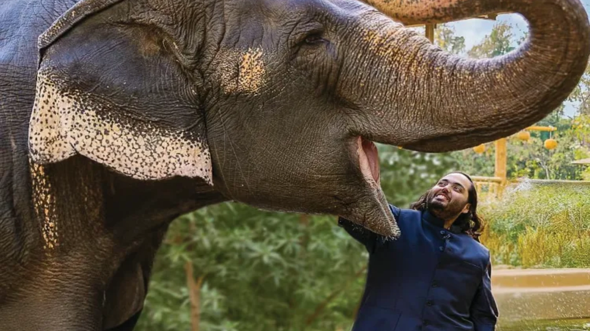 Indian court grants relief to Ambani’s private zoo, Vantara project