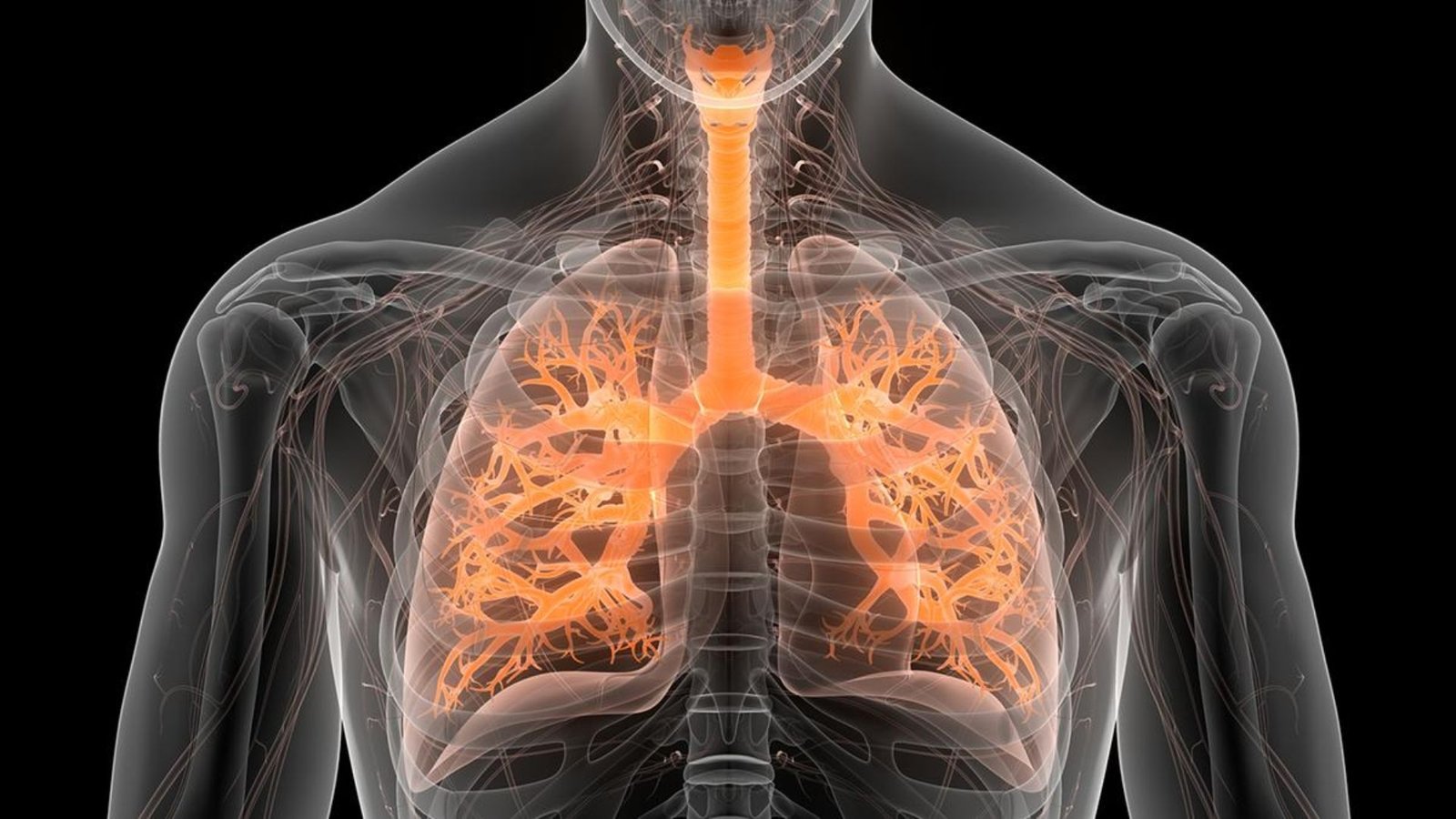 World Lung Day: Understanding and Managing Respiratory Diseases Effectively