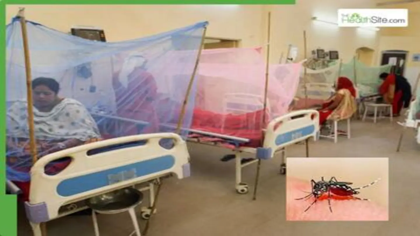 Dengue Surge in Noida, Ghaziabad: Response Teams Deployed, Test Prices Fixed