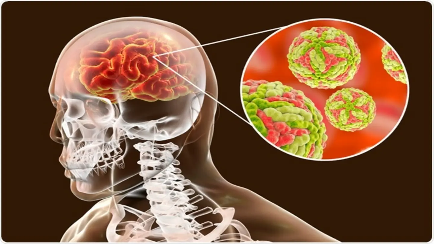 Japanese encephalitis immunity wanes, worsening dengue situation: A dangerous crosstalk