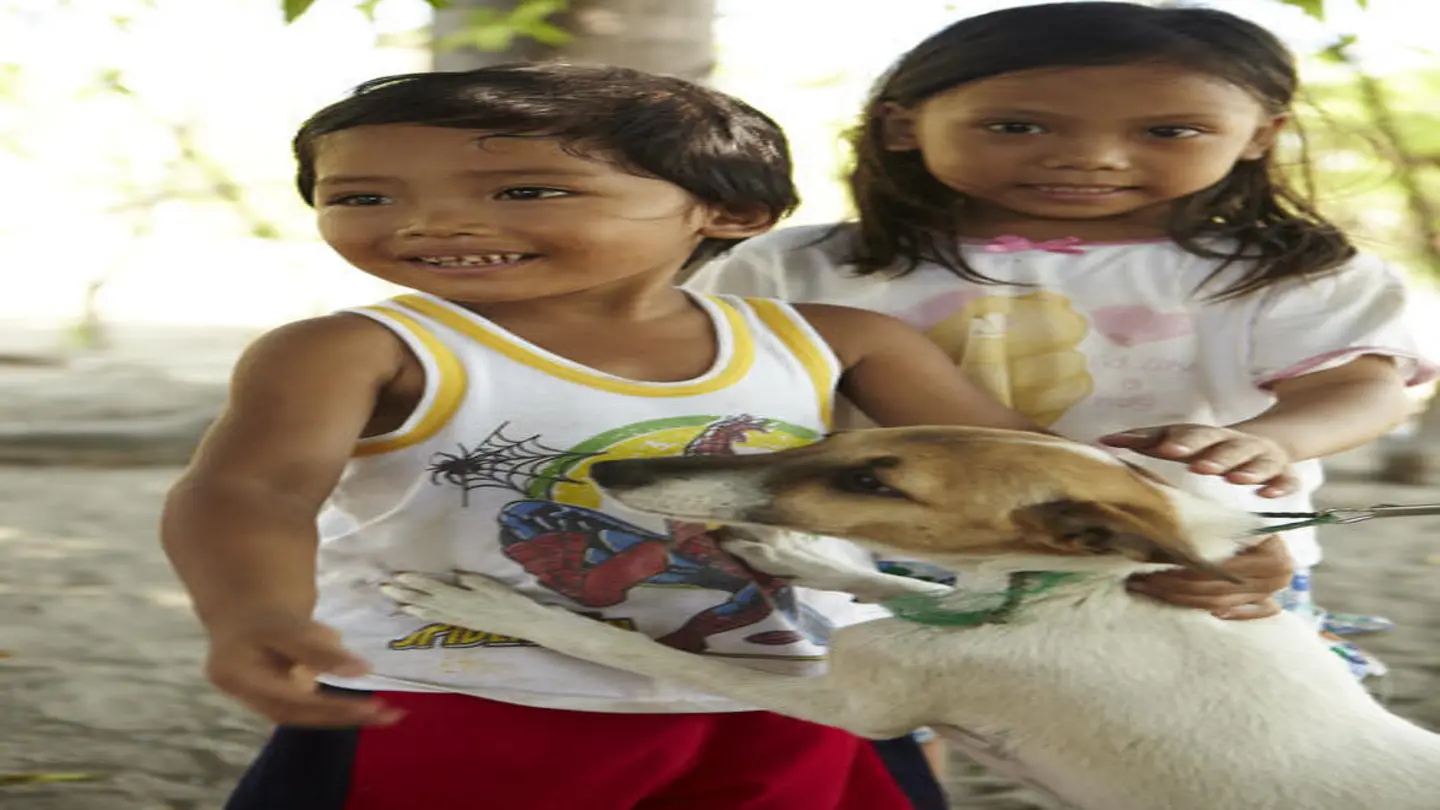Global call to unite for ‘Communities Against Rabies’ on World Rabies Day