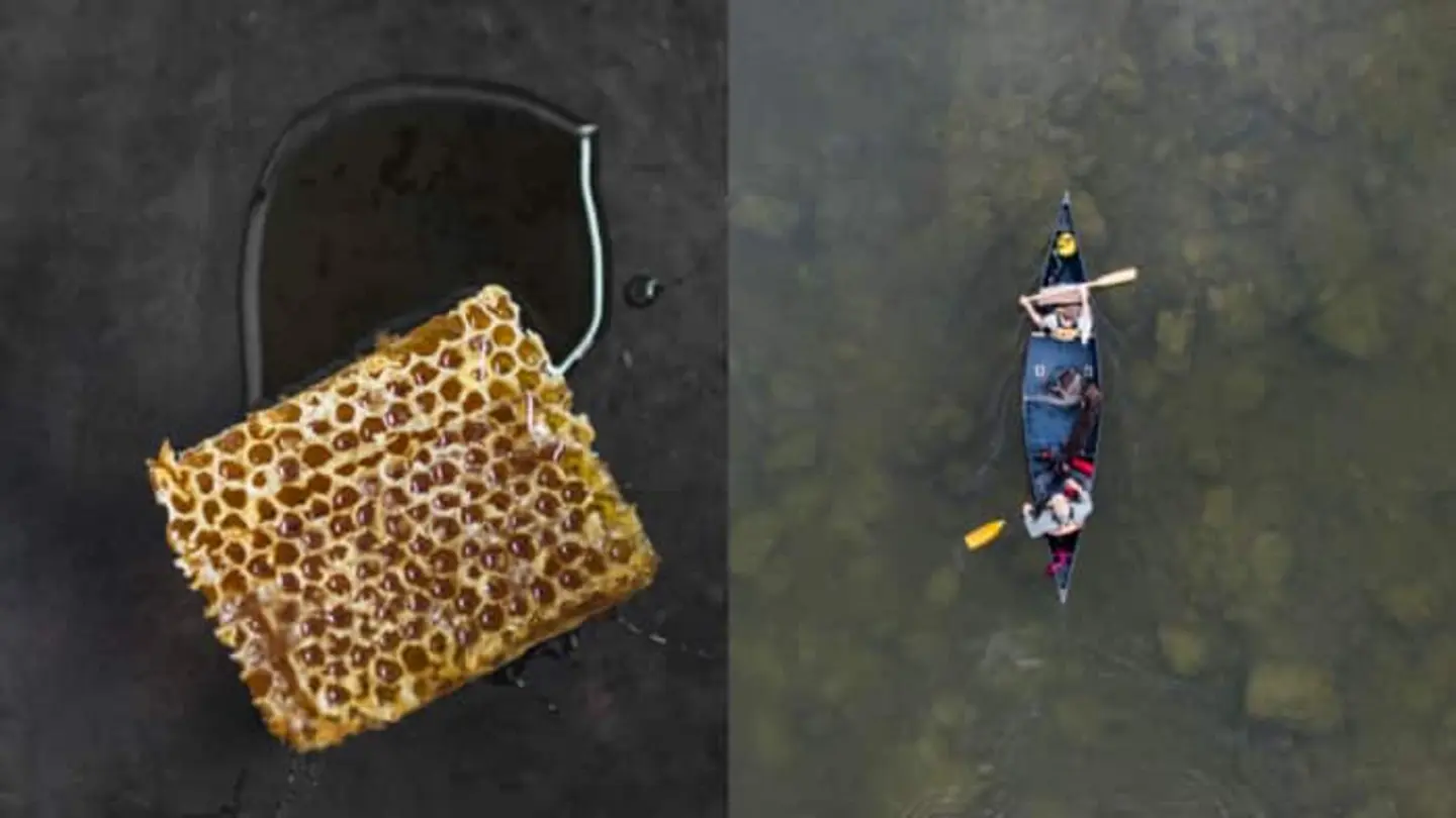 India’s Hidden Workforce: Honey Hunters, River Divers, and Professional Mourners