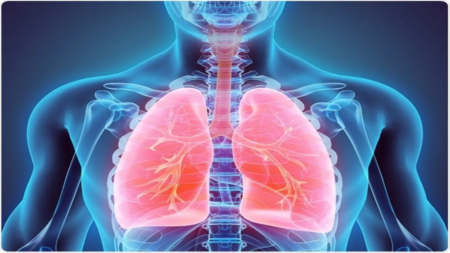 Experts Urge Prioritizing Lung Health to Combat Chronic Diseases