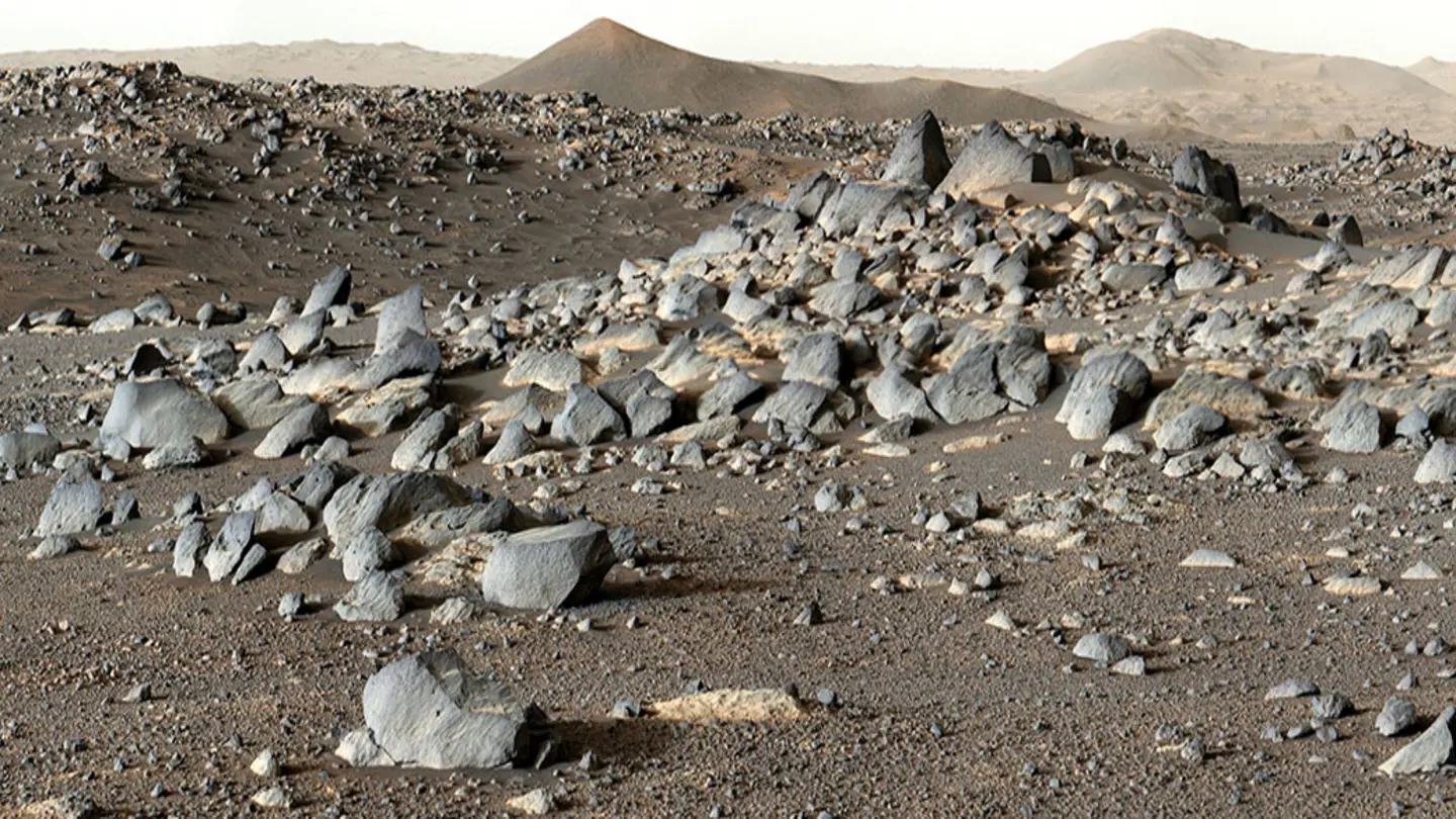 Speckled Martian Rocks: Strongest Evidence Yet of Ancient Life on Mars