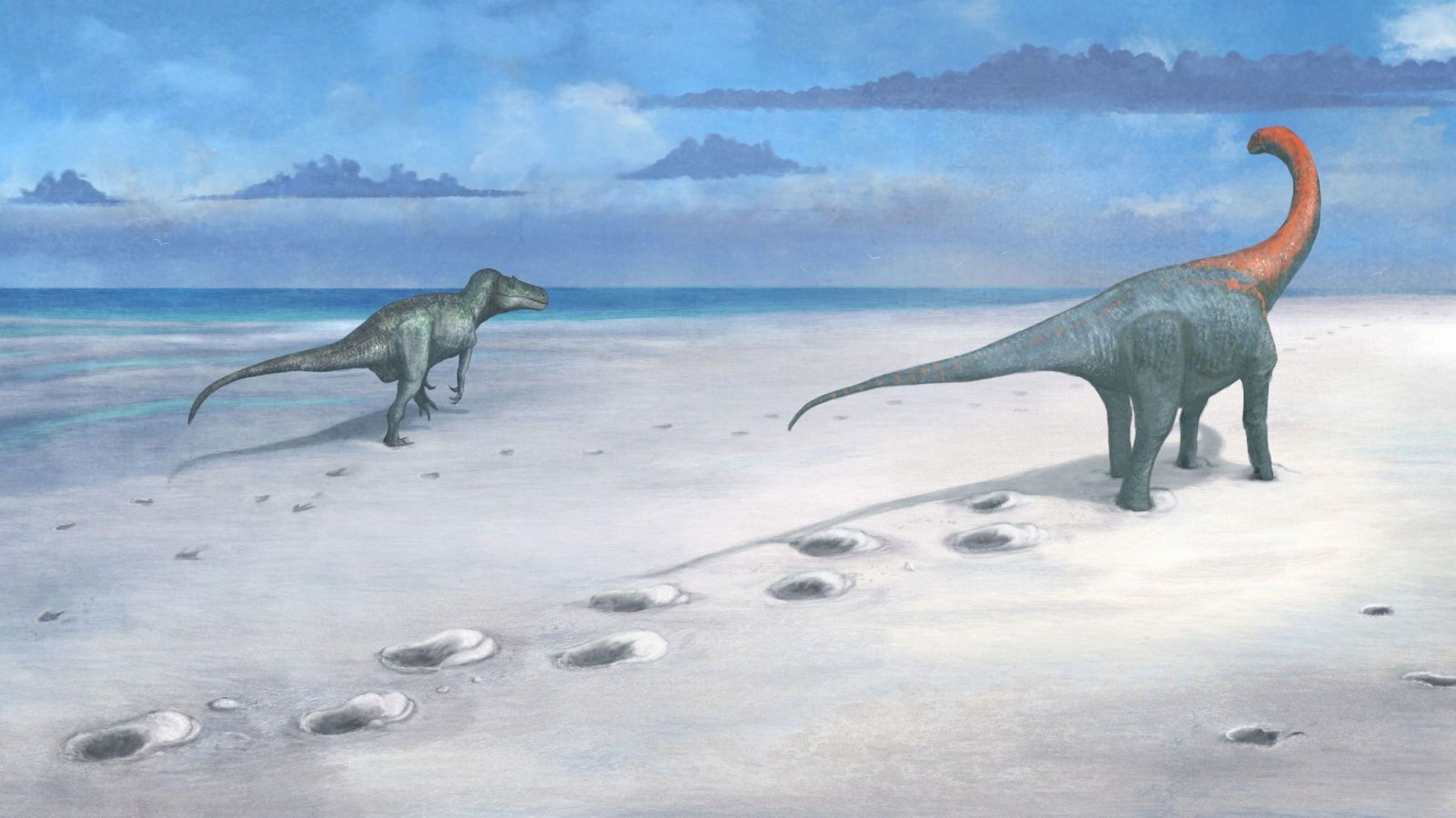 Dinosaur superhighway: ‘Insanely big footprints’ discovered in UK