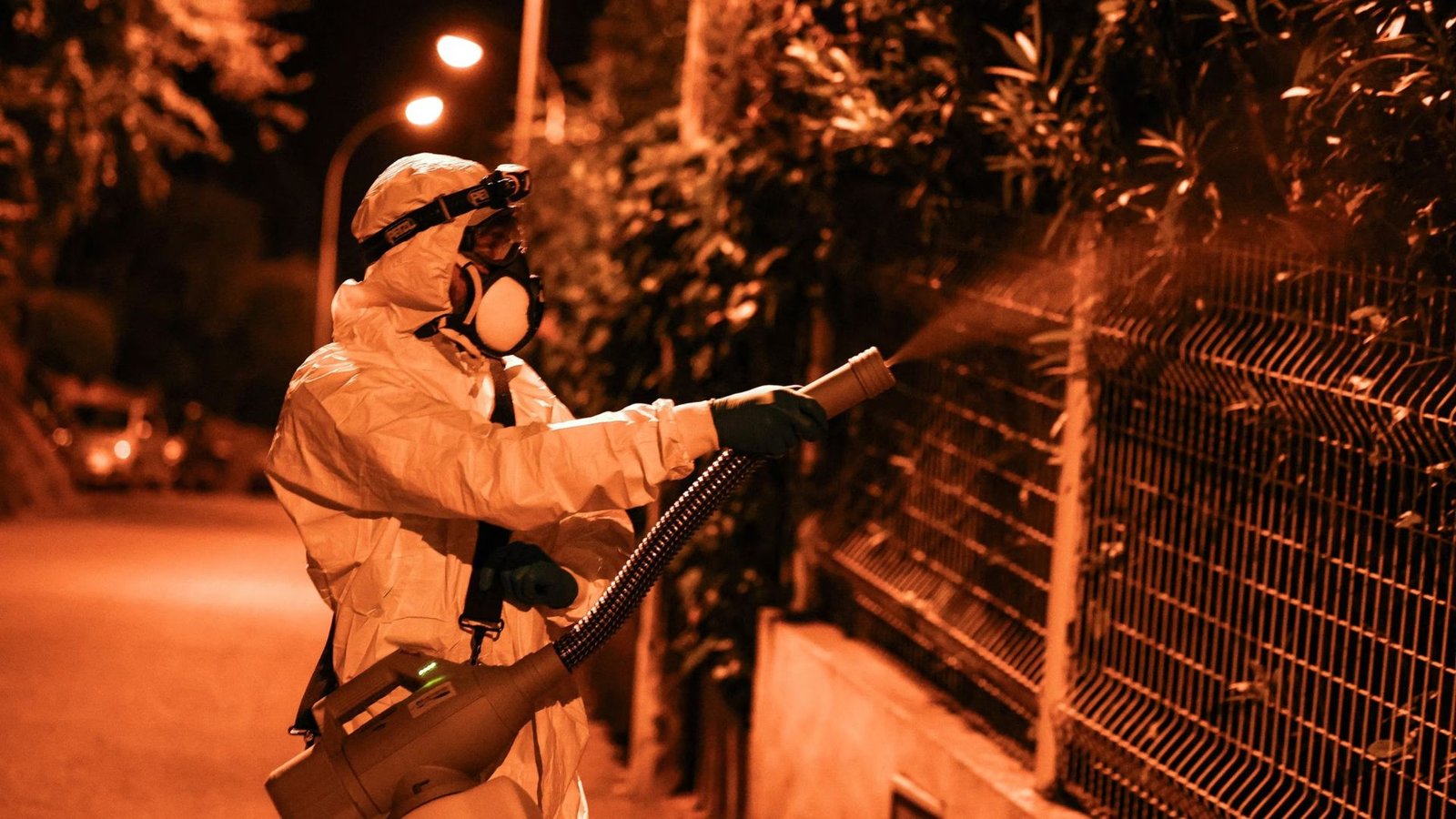 New York reports first locally acquired chikungunya case since 2019