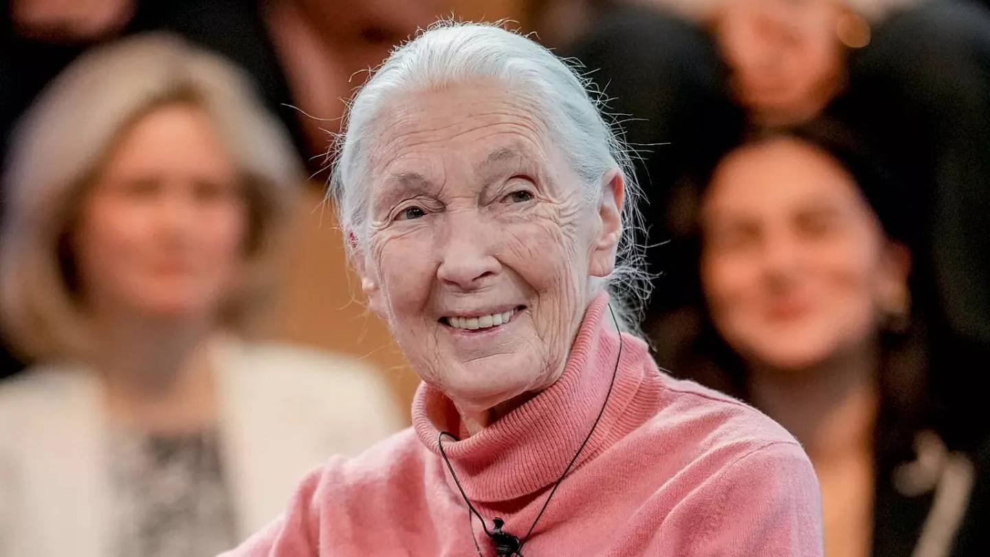 Jane Goodall, Renowned Primatologist and Conservationist, Dies at Age 91