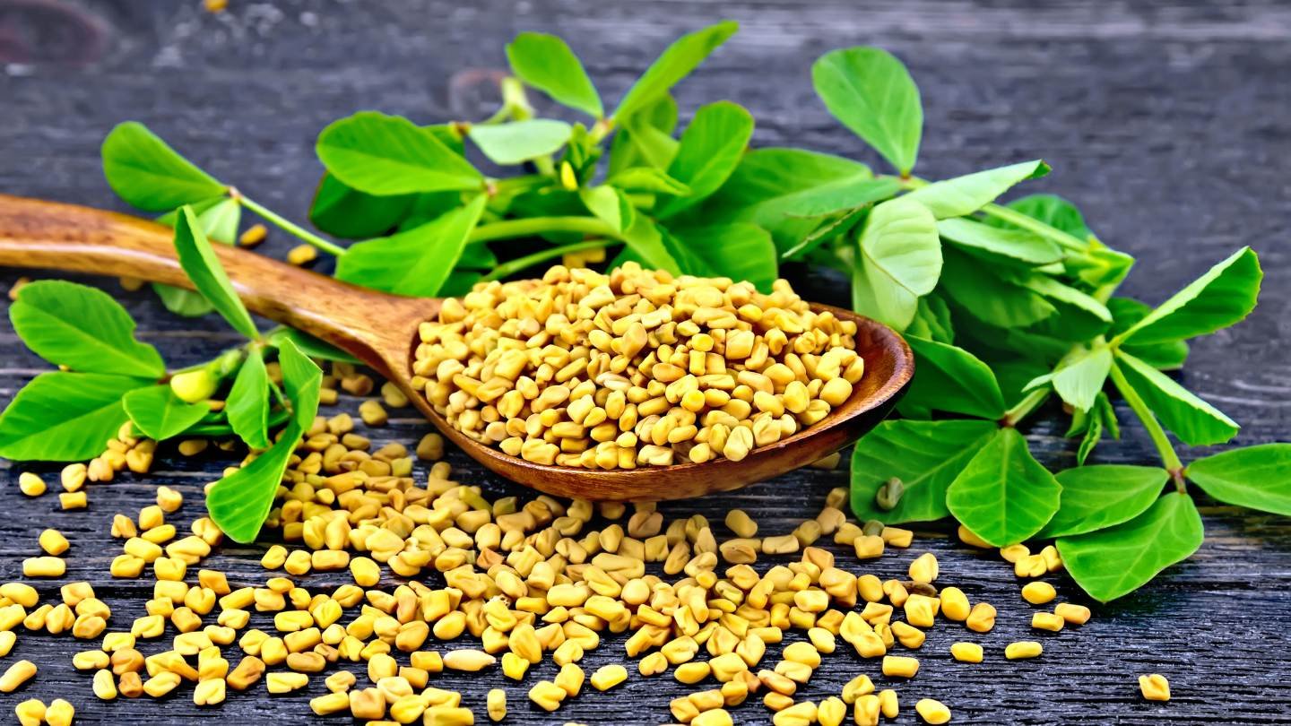 5 Health Benefits of Drinking Methi (Fenugreek) Water Daily for a Month