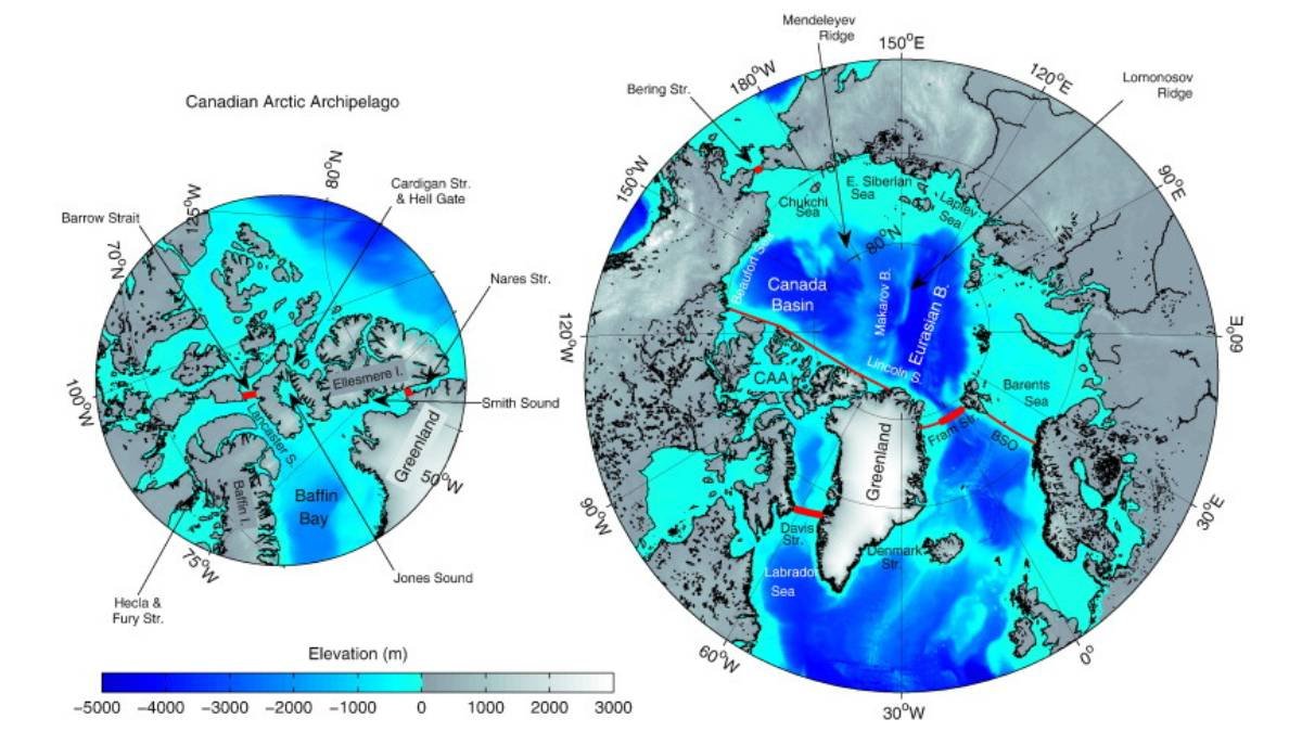 Freshwater Export through Denmark Strait: Local and Remote Climate Drivers