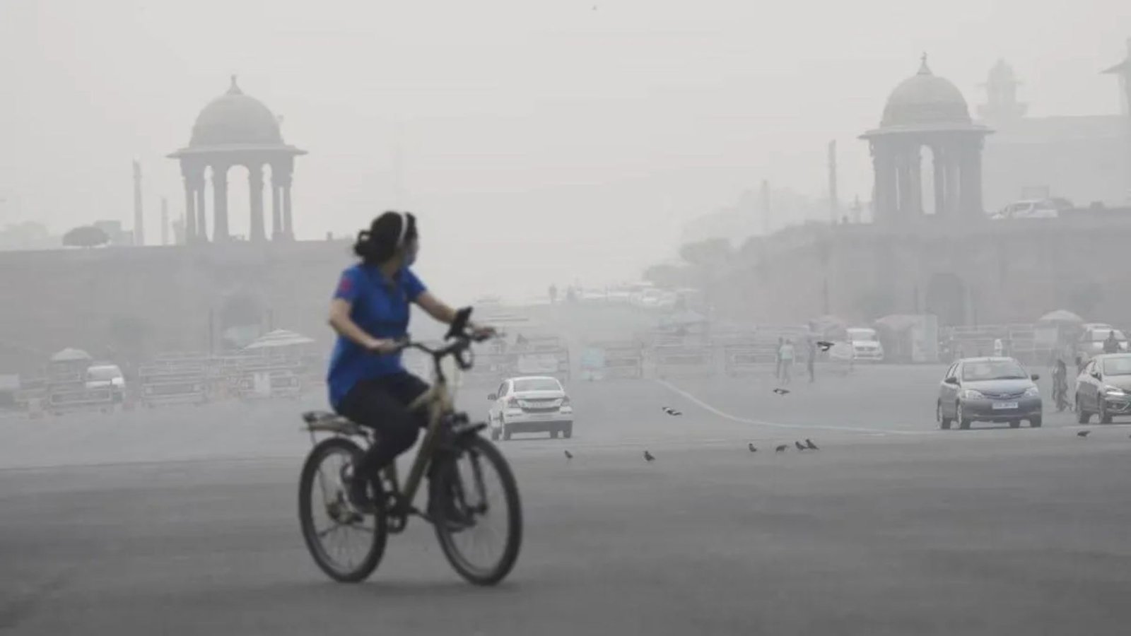 Delhi Air: High Mercury Levels and Kidney Health Concerns