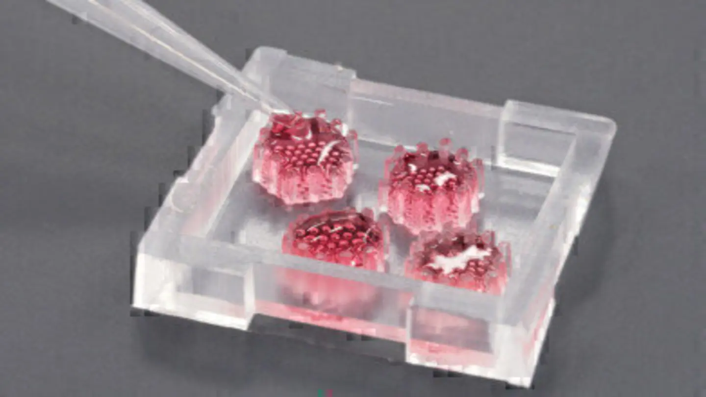 Shed Cell Transcriptomics Maps Cellular Turnover in Human Organs