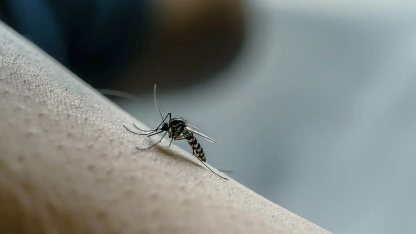 Chikungunya Threat: Over 5 Million Indians Face Long-Term Risk