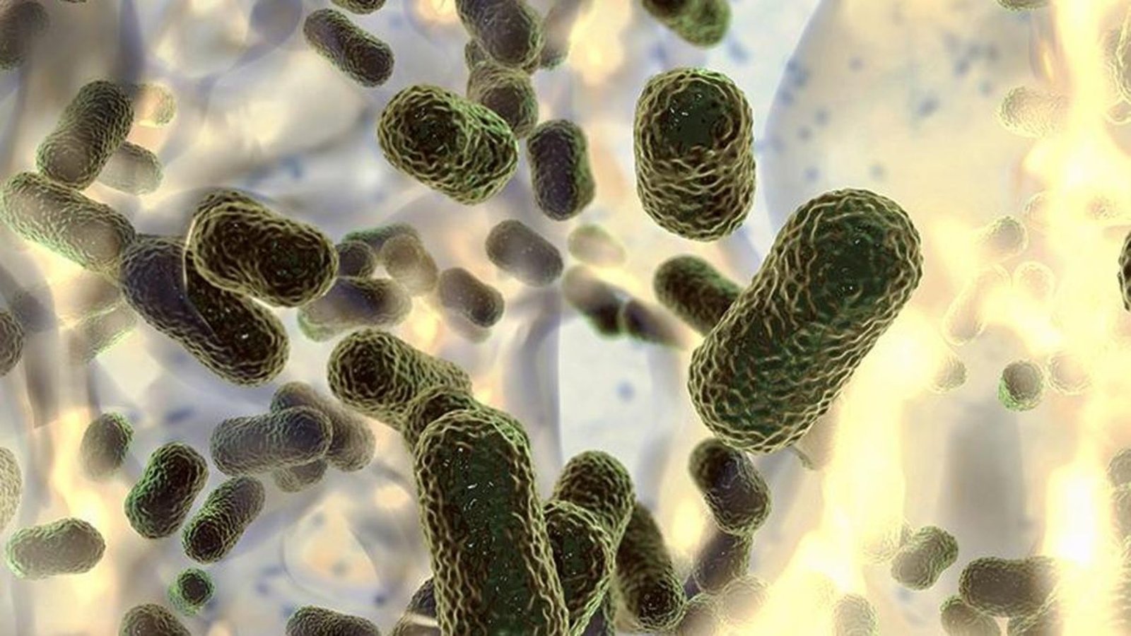 ICMR Study: One in Nine Indians Test Positive for Infectious Disease