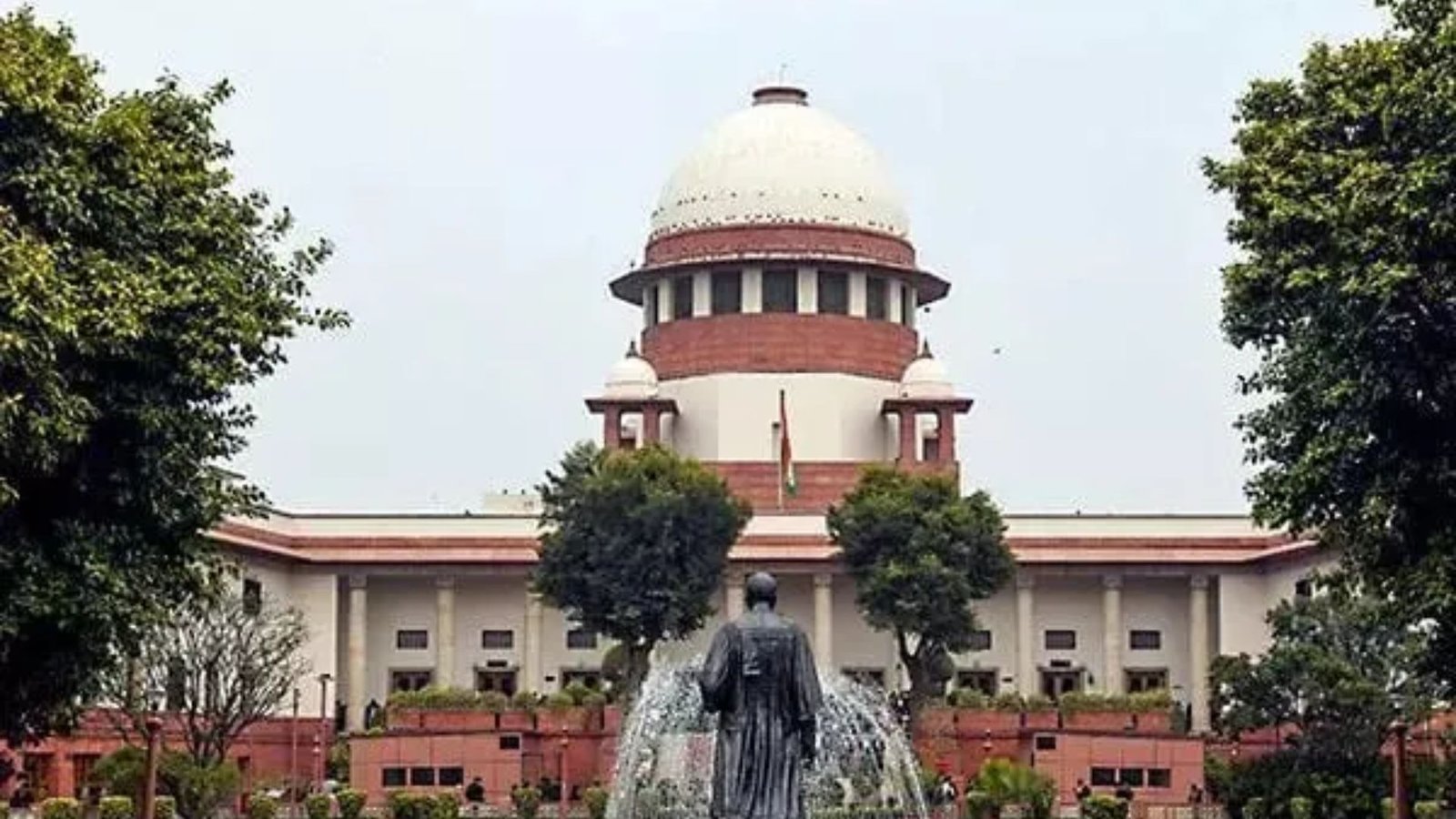 Supreme Court Allows Dog Bite Victims to Intervene in Suo Motu Case