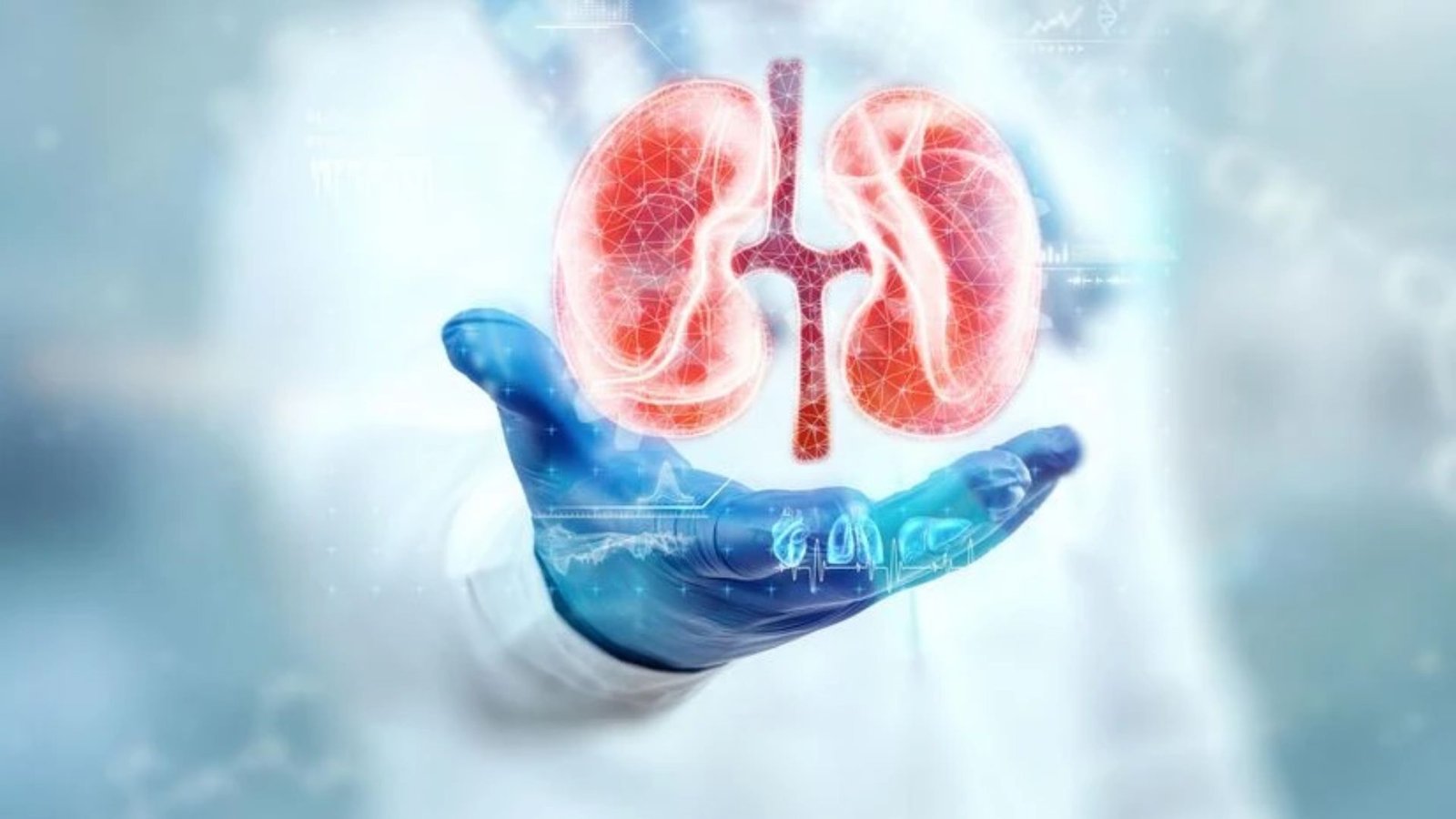 India Had Second Highest Chronic Kidney Disease Cases Globally in 2023