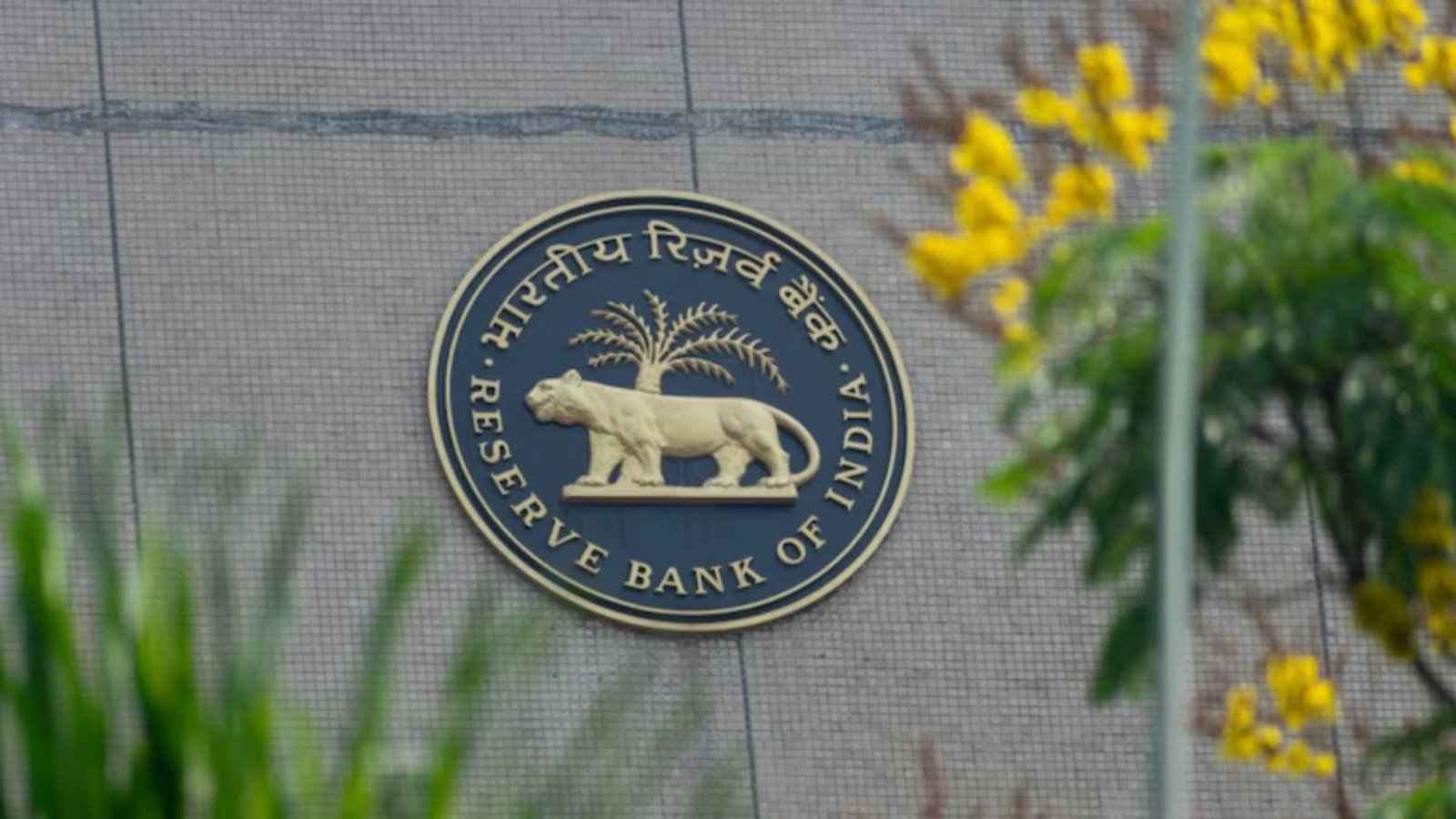 RBI Rate Cut Hopes Surge as Retail Inflation Hits Record Low