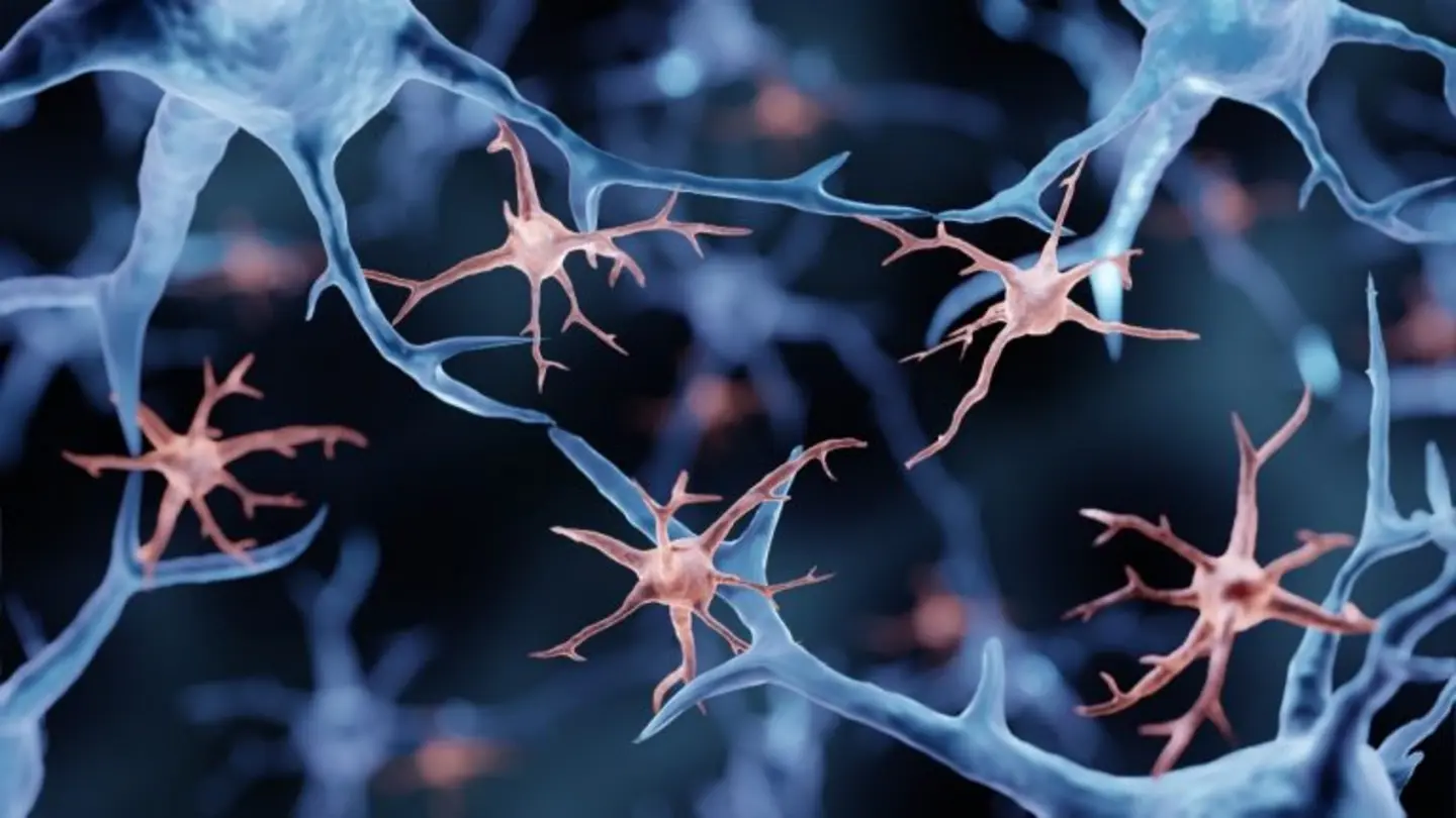 Brain cells that stop Alzheimer’s discovered: Scientists