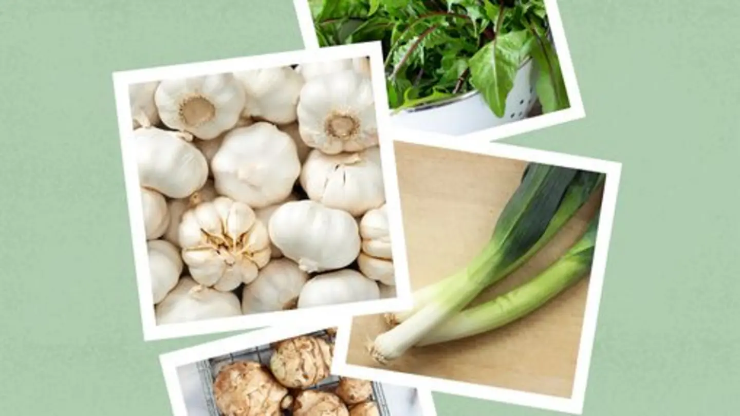 Prebiotic Skincare Shows Promise for Atopic Dermatitis Across Ethnic Groups