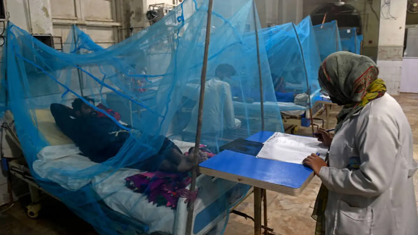 Dengue Claims 36 Lives in Pakistan’s Sindh Province