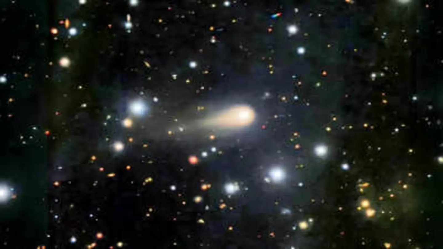 Musk, Rogan Discuss Alien Object 3I/ATLAS Targeting Earth: Harvard Scientist