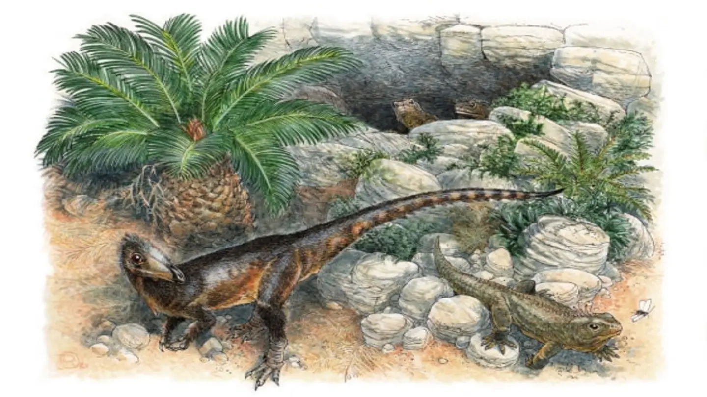 New Meat-Eating Dinosaur Species Identified from 125-Year-Old Welsh Fossil