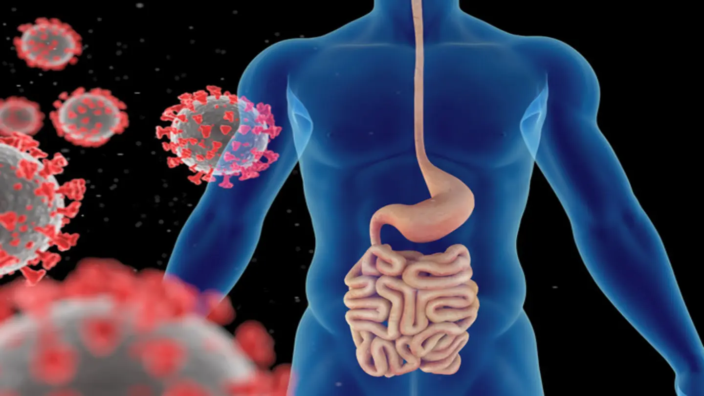 Gut Getting Lazy? Understanding Infrequent Bowel Movements and Digestive Health