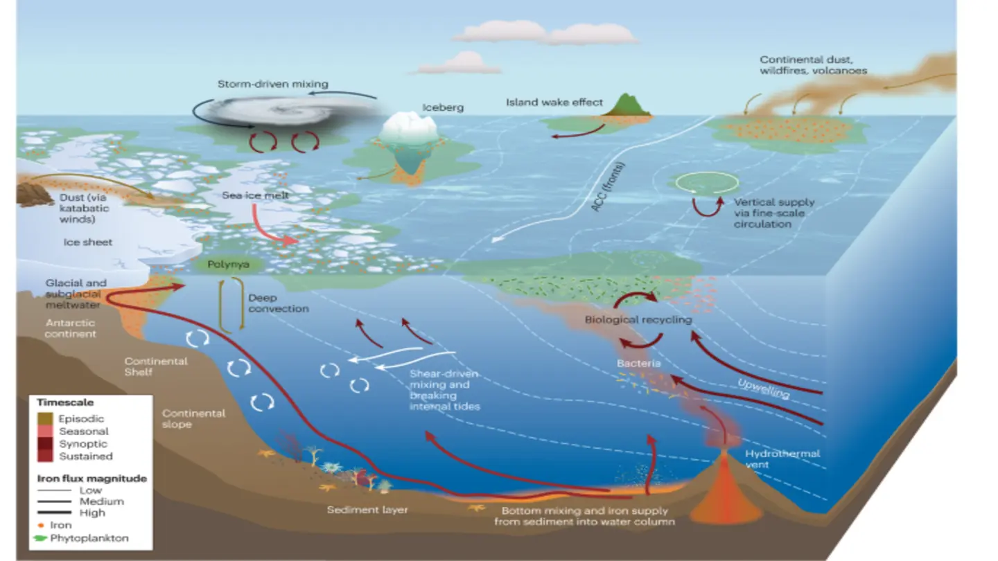 Spring Storms Key to Ocean’s Carbon Uptake in Deep Convection Region