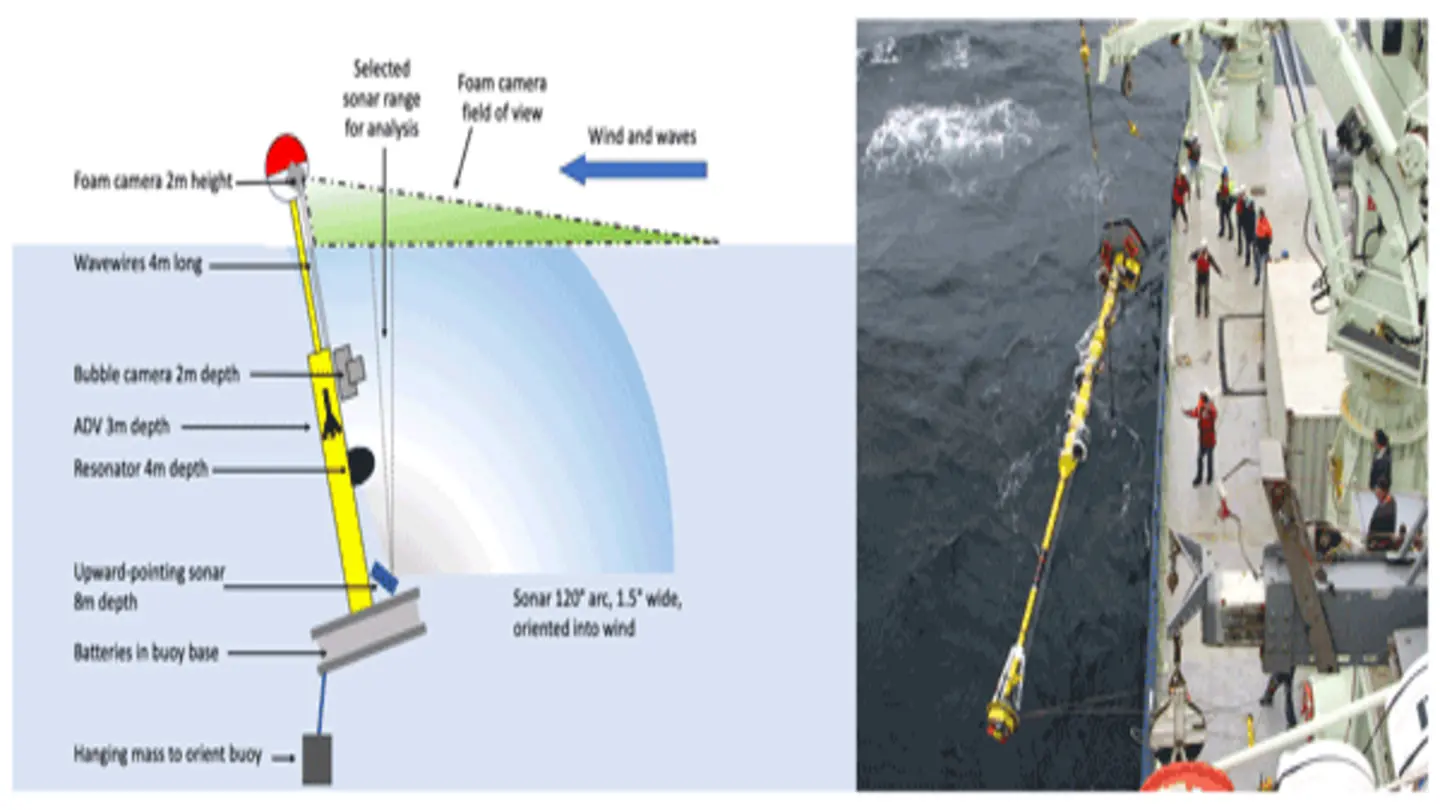 Whitecapping, Wave Energy, and Ocean Sound: A Deep Dive