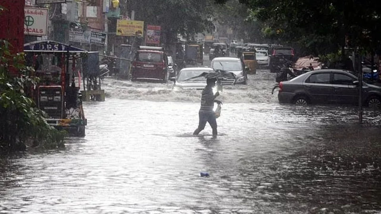 Chennai schools, colleges shut Thursday due to Cyclone Ditwah’s heavy rain