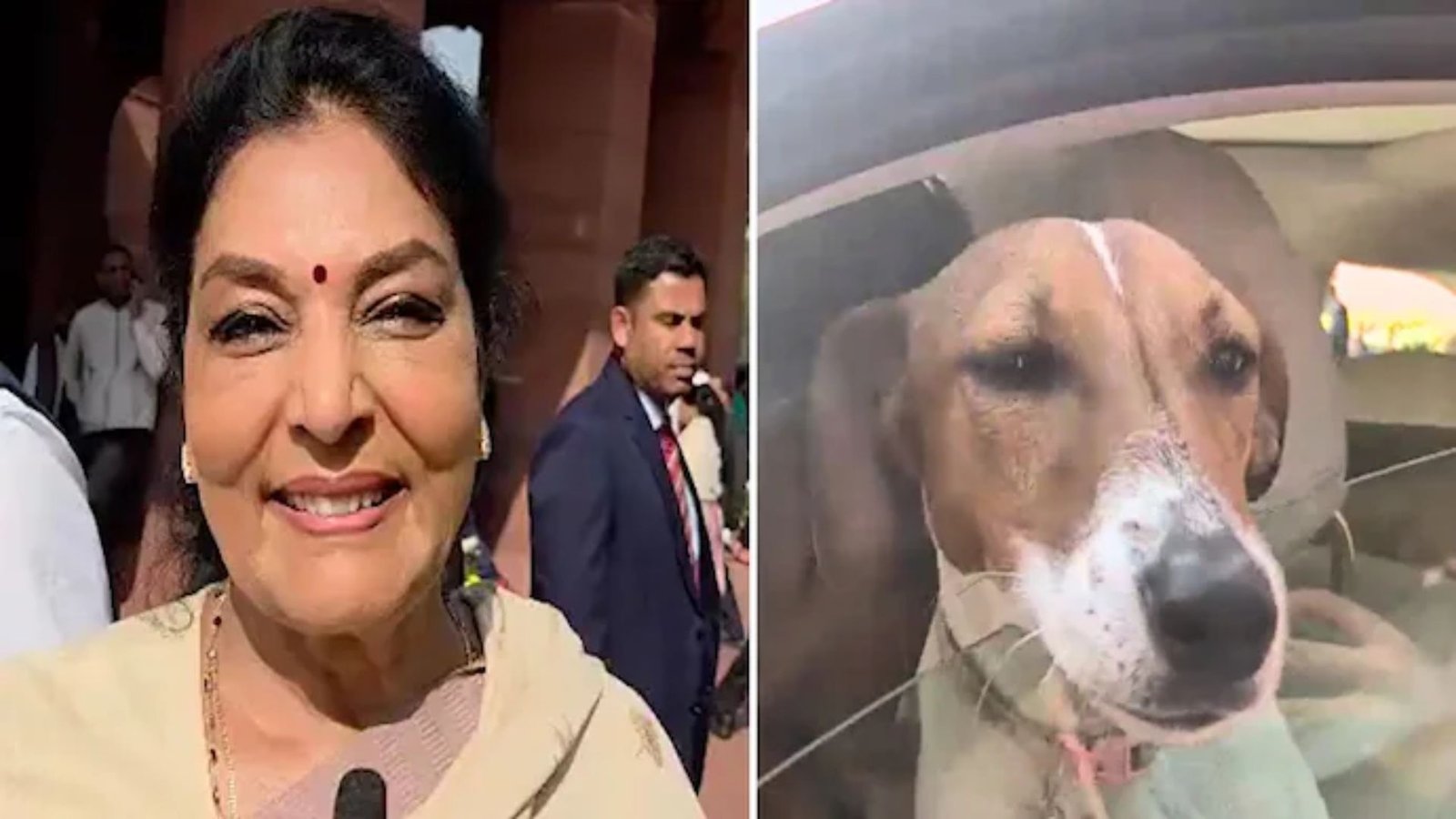 Renuka Chowdhury brings dog to Parliament, remarks on those who bite