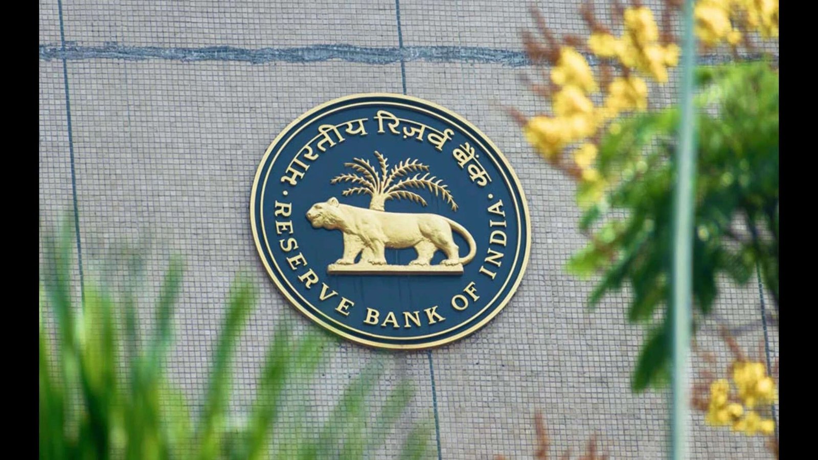 India’s Central Bank Injects $32 Billion to Boost Liquidity