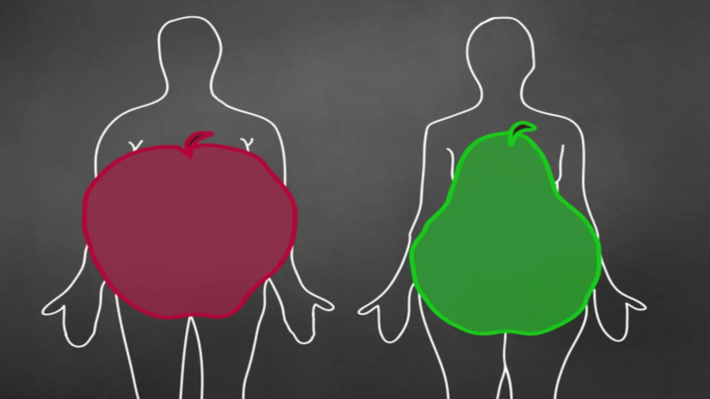 Metabolism shifts after 60 drive belly fat gain despite unchanged diet