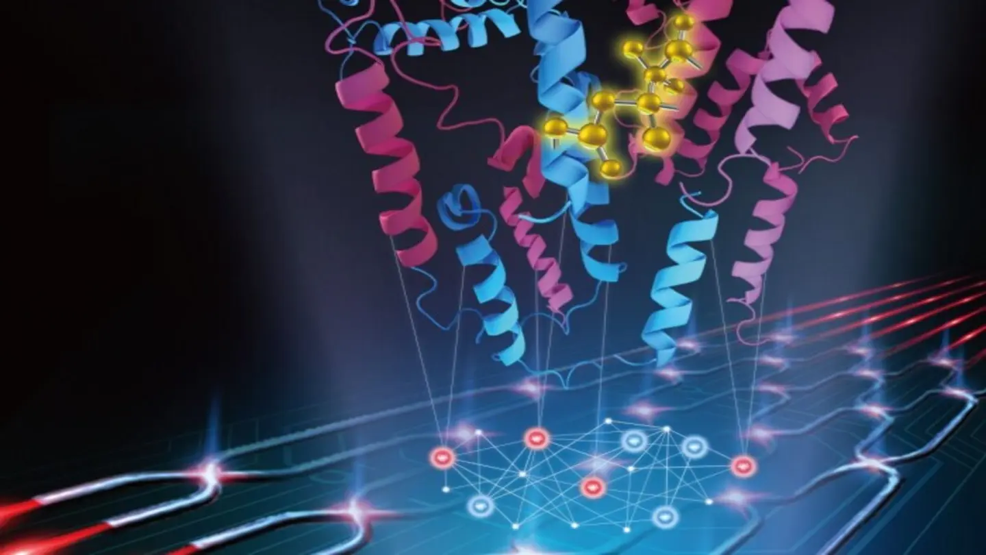 New Method Accelerates Drug Discovery Process, Promises Faster Treatments