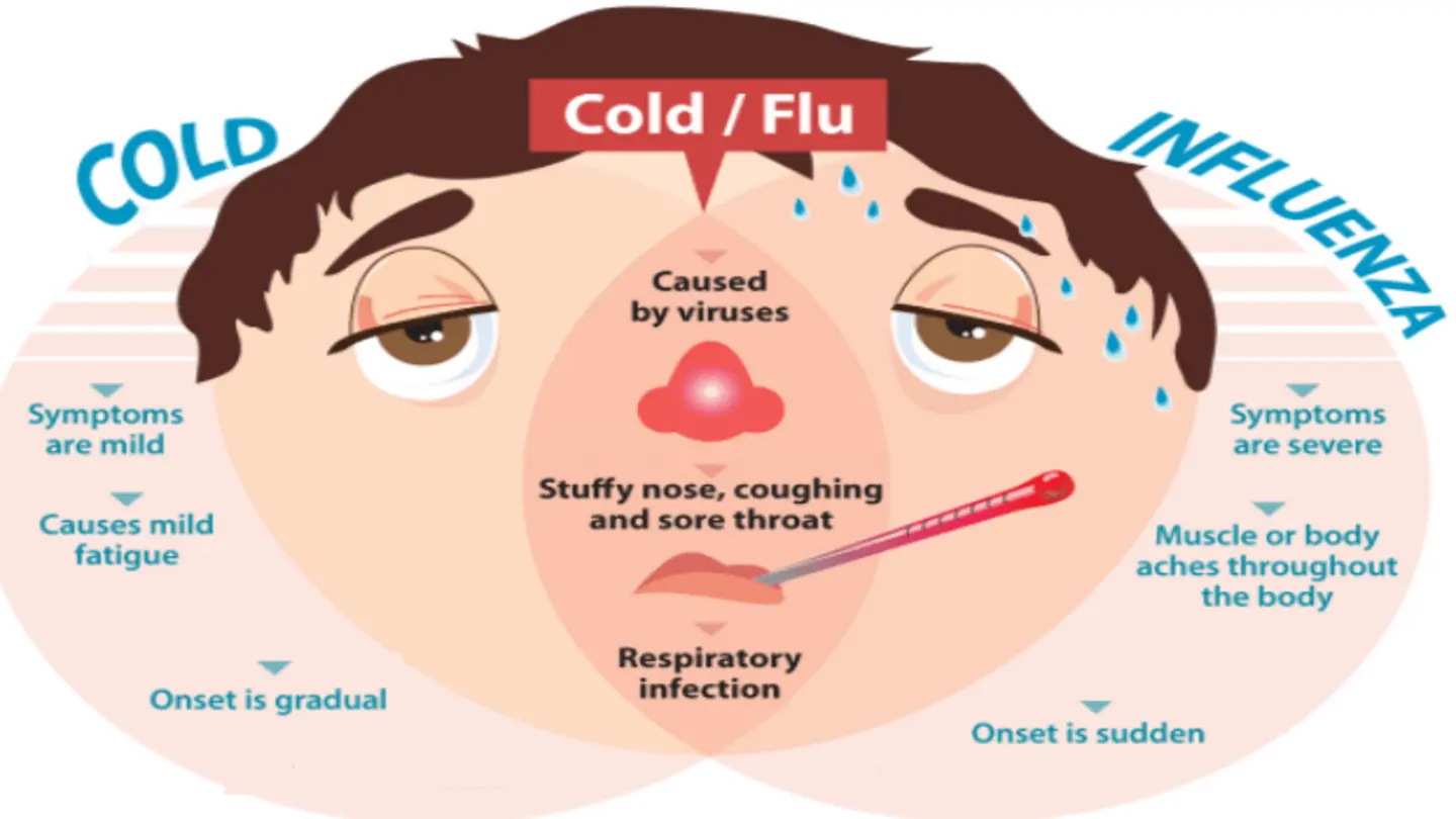 Severe Flu Season Predicted: Doctors Urge Preventative Measures