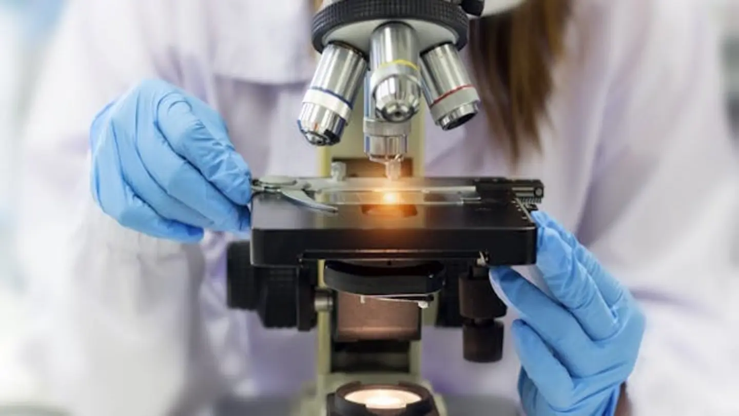 Genital Mycoplasma and Chlamydia infections found in North India tertiary care patients