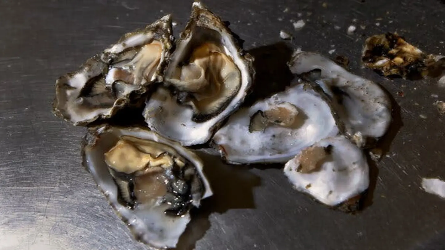 AI Model Predicts Oyster Norovirus Outbreaks with Gradient Boosting