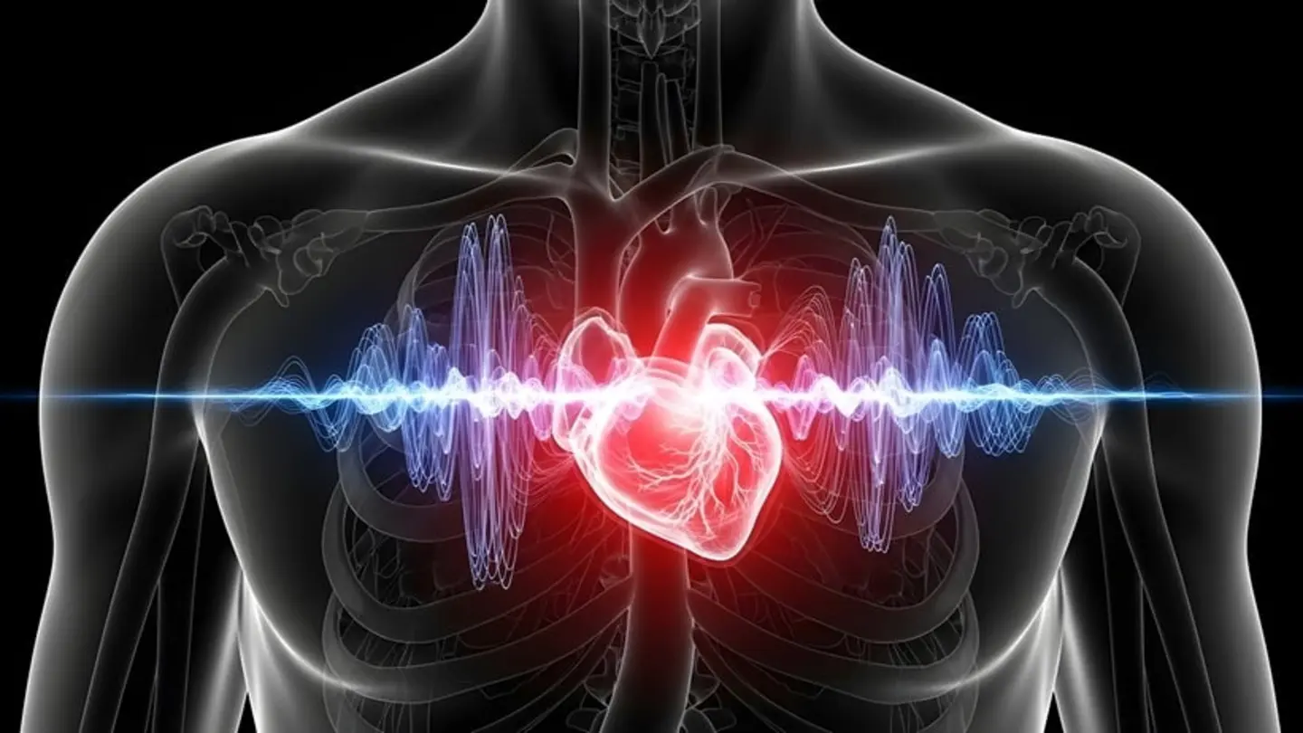 3D Cardiac Mapping Enhances Arrhythmia Detection Accuracy