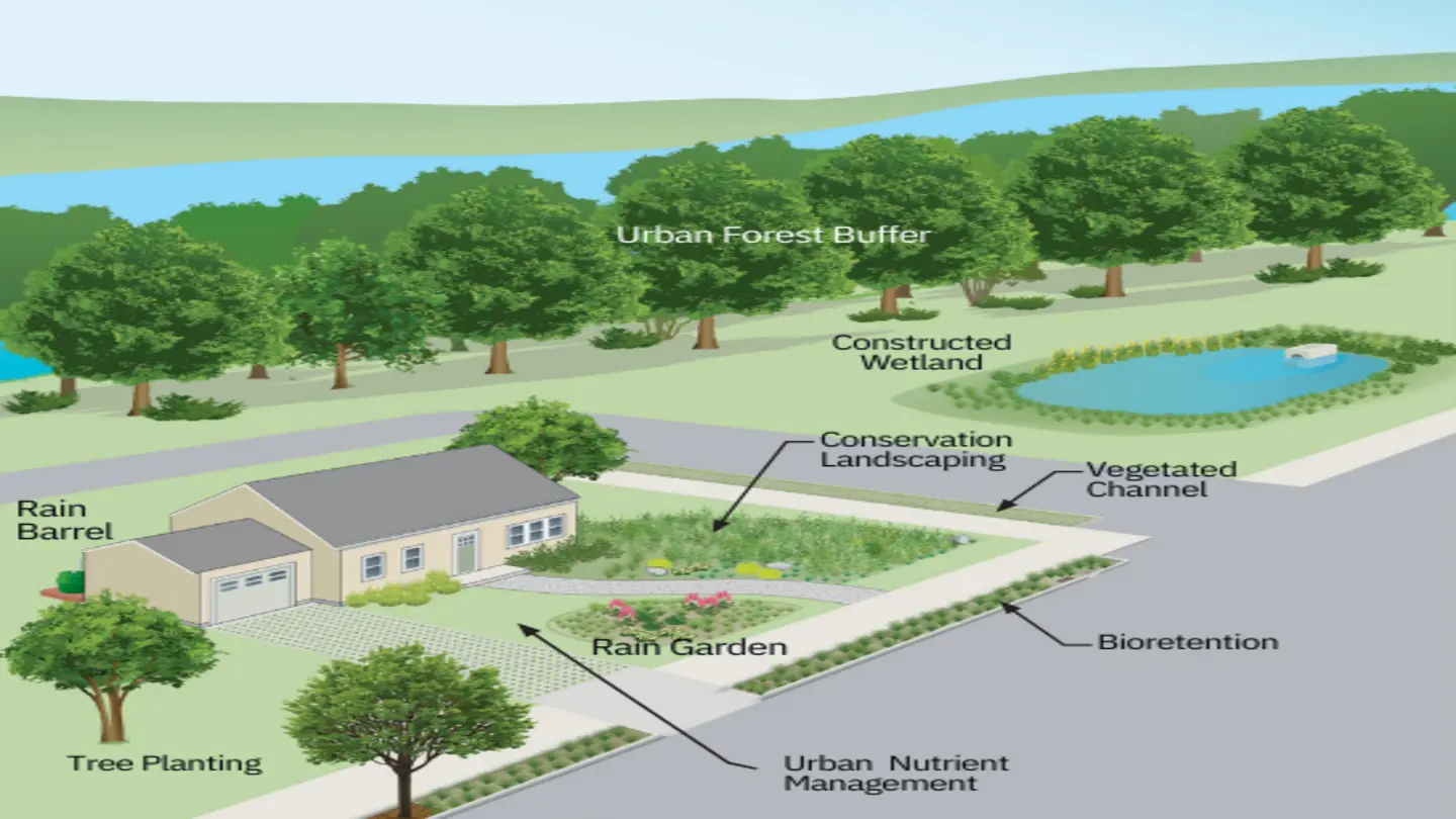 Forest Act Amendments Won’t Lead to Privatisation, Say Officials