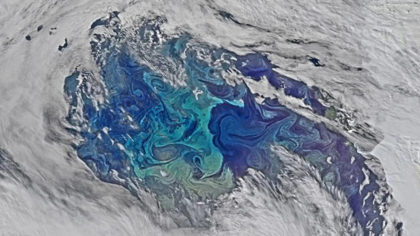 Ocean Carbon Dynamics: New Model Reveals Complex Interactions